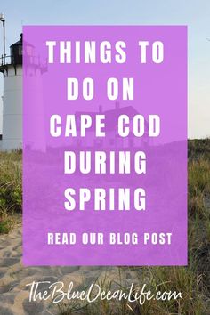 cape cod spring travel Cape Cod Rail Trail, Spring Reading, Spring Travel, Flowers Blooming, Relaxing Vacations, Spring Trip, Warming Up, Spring Season