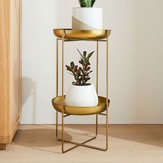 three tiered gold plant stand with two plants on each shelf and one potted plant in the middle