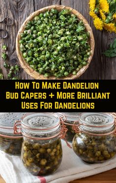 three jars filled with green beans next to yellow flowers and the words how to make dandelion bud caps + more brilliant uses for dandelions