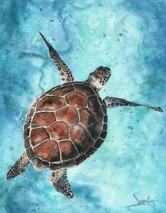 a painting of a turtle swimming in the ocean