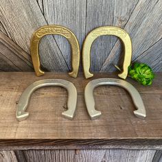 two metal horseshoes sitting next to each other on a wooden shelf with a succulent plant