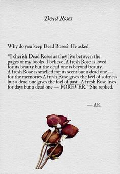 an image of dead roses in the book dead roses