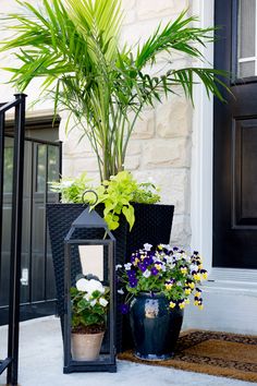 three planters with plants in them sitting on the front steps