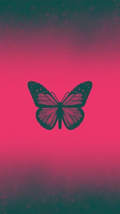 a pink and black butterfly on a purple background