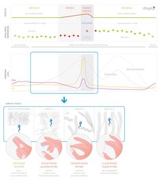 an info sheet showing the different stages of hand gestures and how they are used to describe them