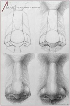 three different views of the nose and mouth