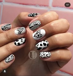 Animal Print Nails Art, September Nails, Finger Nail Art, Nails Now, Casual Nails, Leopard Nails, Animal Nails