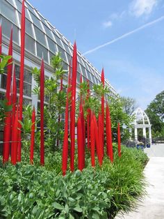 red glass sculptures in front of a building