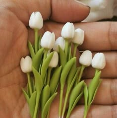 small white flowers are being held in someone's hand