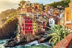 the colorful buildings are on the cliff above the water and in front of it is a palm tree