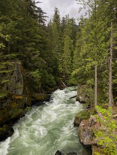 a river running through a forest filled with rocks and trees in the middle of it