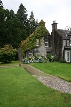 an old house with ivy growing on the roof and windows, surrounded by lush green grass