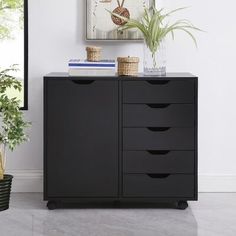 a black cabinet with drawers and plants on top