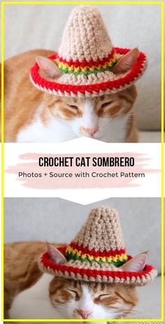 a cat wearing a crochet sombrero on top of it's head