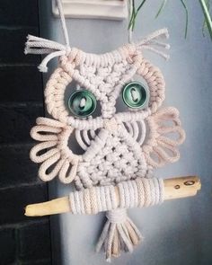 an owl ornament hanging on a wall next to a plant with green eyes