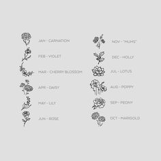 an image of flowers that are in the middle of a line on a gray background