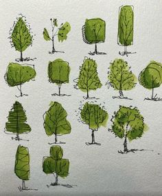 some trees are drawn in green ink on white paper and have been colored with watercolors