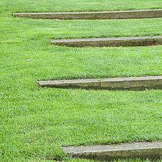 several stepping stones in the grass on a sunny day