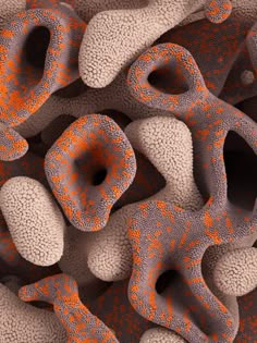 an orange and gray substance is surrounded by smaller coral like structures that appear to be interconnected