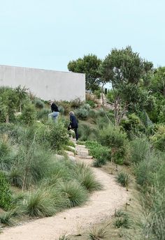 two people are walking up some steps in the grass and bushes near a concrete wall