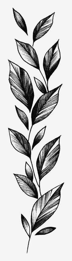 a black and white drawing of leaves