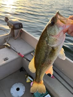 a person holding a large fish in their hand on a boat with the water behind them