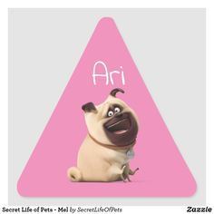 the secret life of pets poster with an image of a pug sitting in front of a pink triangle