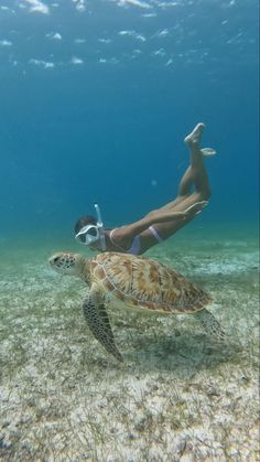 Snorkeling Pictures Aesthetic, Snorkel Aesthetic, Snorkeling Aesthetic, Diving Aesthetic, Snorkeling Pictures, Ocean Girl, Ocean Vibes, Summer Plans