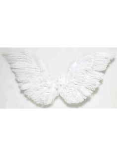 white angel wings on a white background