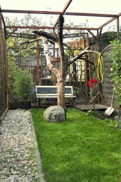 a bench sitting in the middle of a yard next to a tree and rock path