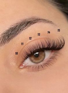 Small Lash Clusters, 30d 40d Lash Map Clusters, Lash Cluster Mapping Styles Doll Eye, Wispy Classic Lash Extensions Map, 30d Lash Cluster Map, Lash Mapping Eyelash Clusters