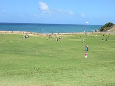 many people are flying kites on the grass by the water and beach in front of them