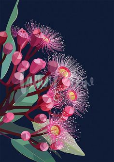 the flowers are pink and green on the dark blue background in this illustration, they appear to be painted with acrylic paint