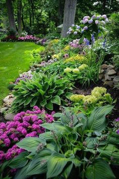 a garden filled with lots of different types of flowers and greenery next to trees