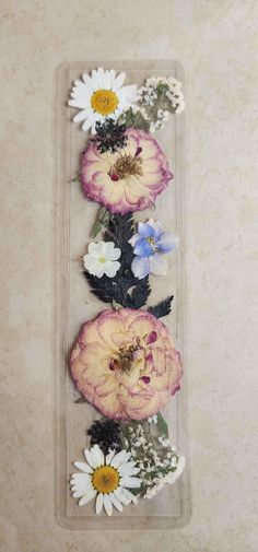 three dried flowers in a clear plastic container