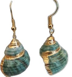 two seashells are hanging from gold earwires, one is green and the other is blue