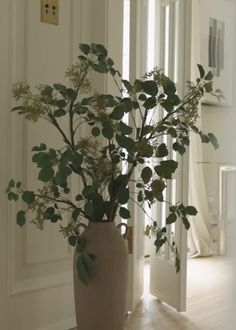 a vase filled with lots of greenery sitting on top of a wooden table next to a doorway