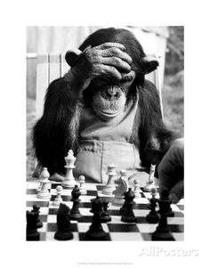 a chimpan sitting at a chess board with his hands on the head