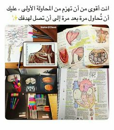 an open book with pictures of human body in arabic and english writing on the page