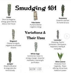 Smudge Sticks Meaning, Incense Scent Meaning, Incense Herbs, Smudging Prayer, Crystal Healing Chart, Magickal Herbs, Sage Smudging, Healing Magic, Witch Spirituality