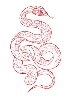 a red line drawing of a snake on a white background, with the tail curled up