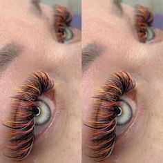 Ombre Eyelash Extensions, Halloween Eyelashes Extensions, Red And Orange Lash Extensions, Orange Lashes Extensions, Orange Eyelash Extensions, Holiday Lash Extensions, Fall Lash Extensions, Black And White Eyelash Extensions, Halloween Lashes Extensions