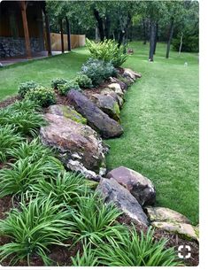 a garden with grass, rocks and plants in the foreground is an outdoor area