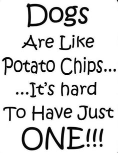 a sign that says dogs are like potato chips it's hard to have just one