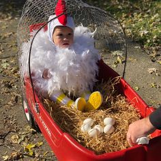 a baby in a wagon filled with eggs wearing a chicken costume and sitting on top of hay