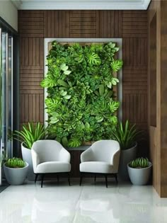 two white chairs sitting next to each other in front of a green plant covered wall