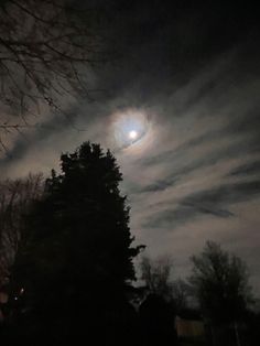 the moon is shining in the cloudy sky above some trees and bushes on a dark night