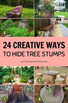 the different ways to hide tree stumps in your yard or garden are easy and fun