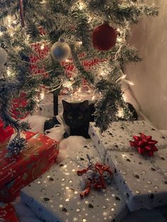 a black cat sitting under a christmas tree with presents on the ground and wrapped in white paper