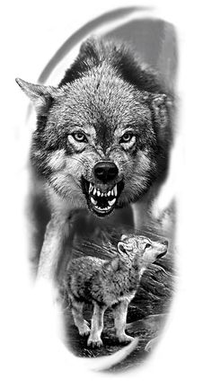 two wolfs with their mouths open and one is growling at the other, in black and white